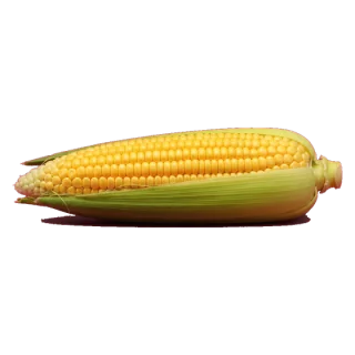 corn