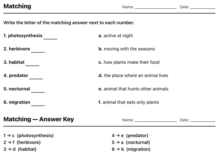 Printable matching worksheet with two columns and connecting dots